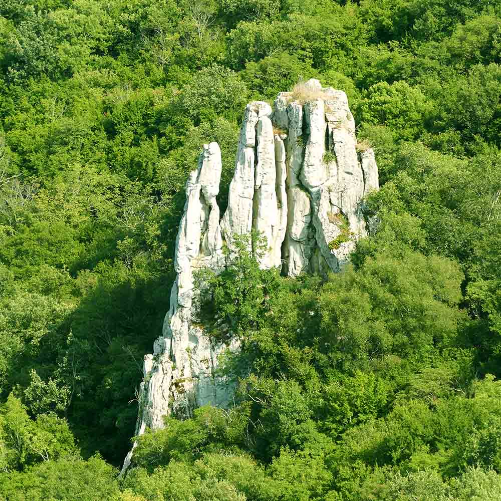 Fotografija 11. Omnijinog malog podsjetnika, godina druga