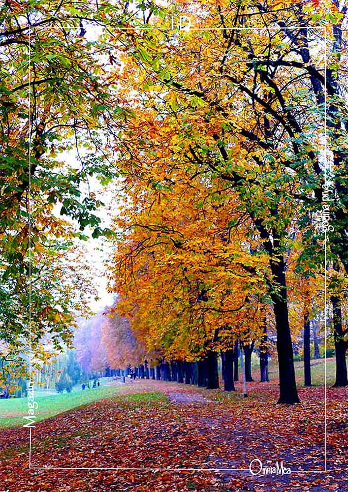 Fotografija 1. poglavlja, park ujesen