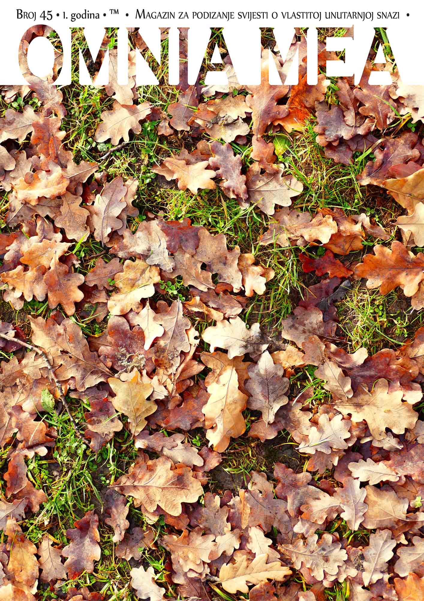 Naslovnica 45. broja, godina prva